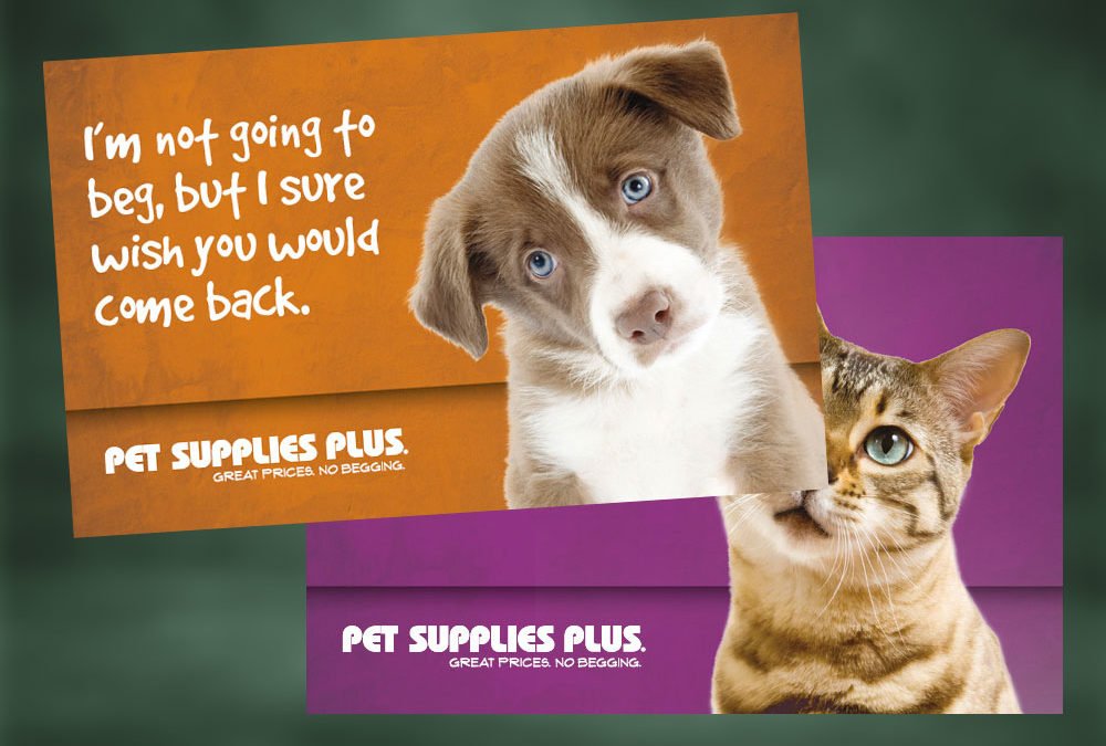 Pet Supplies Plus